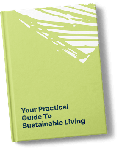 a5-hard-cover-sustainable-guide-lime